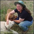Jackie and the dogs