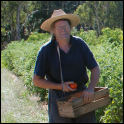Organic Fruit and Vegetables