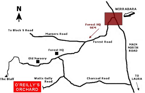Map to O'Reilly's Orchard Wirrabara Forest