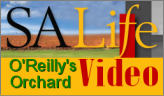 Micheal Keenan Interviews Jackie O'Reilly fo SA Life!